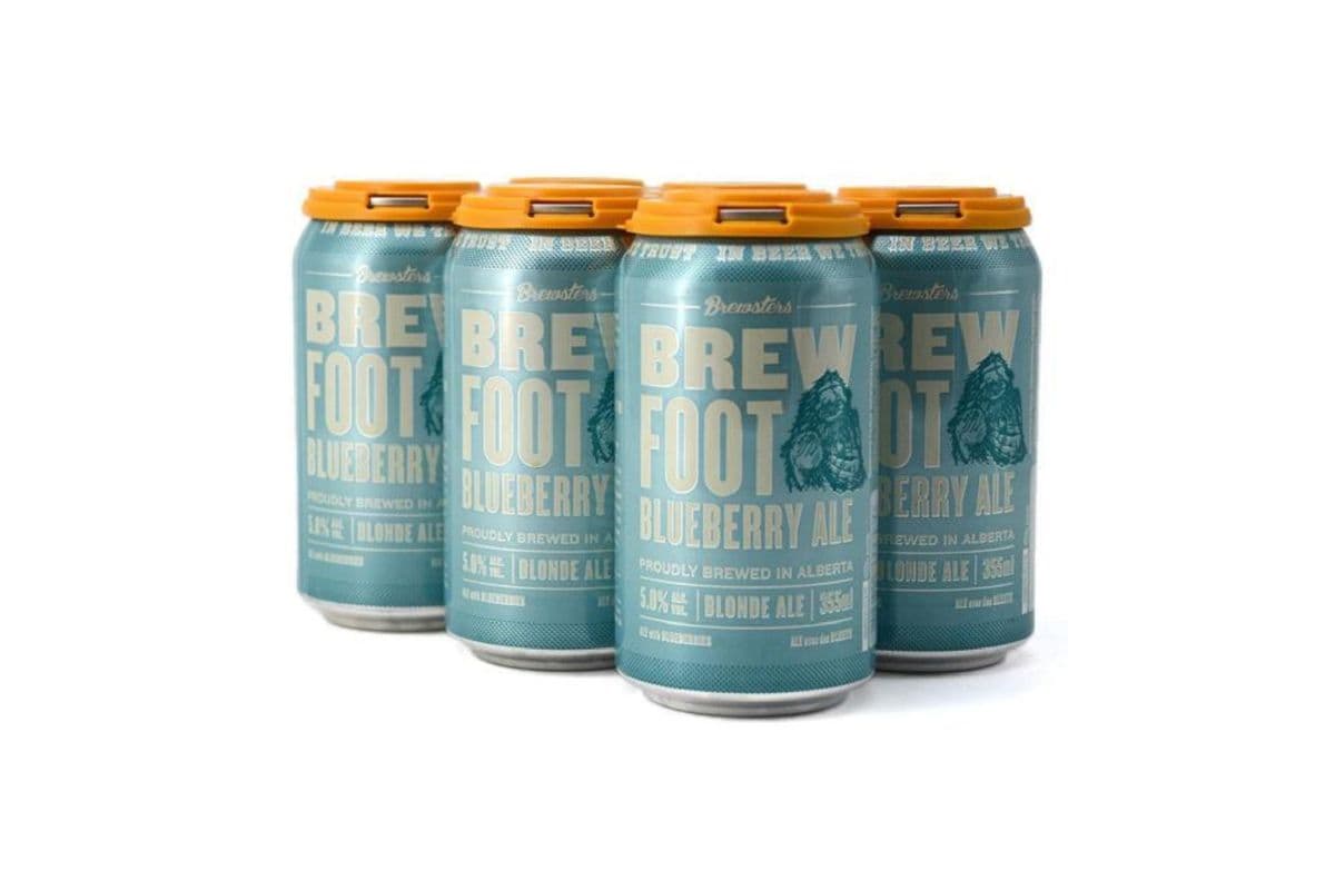 Brewster's Blueberry Ale (6 Cans)