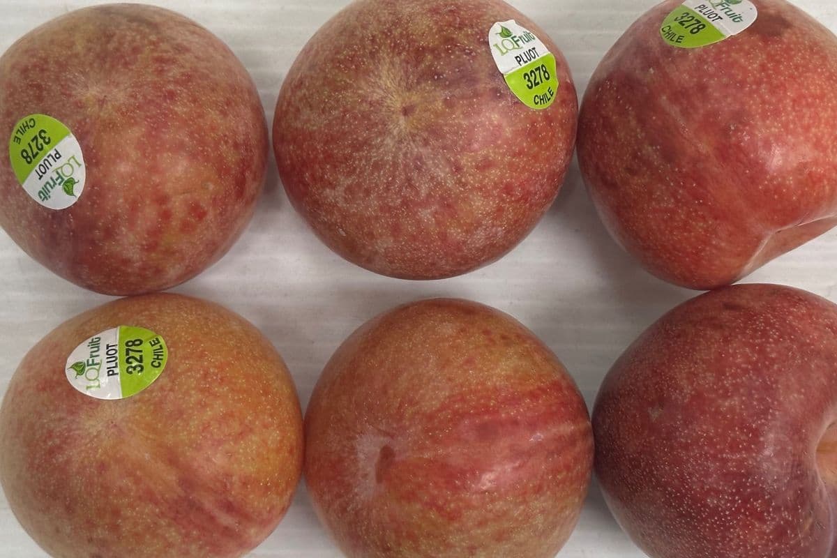 Plums Red $1.99/Lb (1 lb)