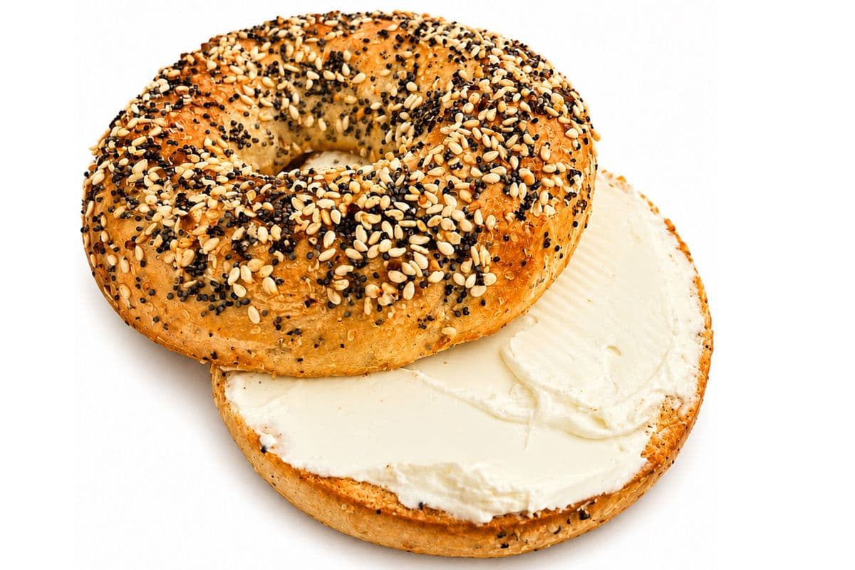 Everything Bagel with Plain Cream Cheese