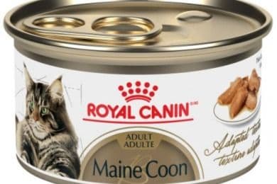 Royal Canin Digestion Sensible Chat Tranches En Sauce / Royal Canin Sensitive Digestion Cat Slices In Sauce (85 g)