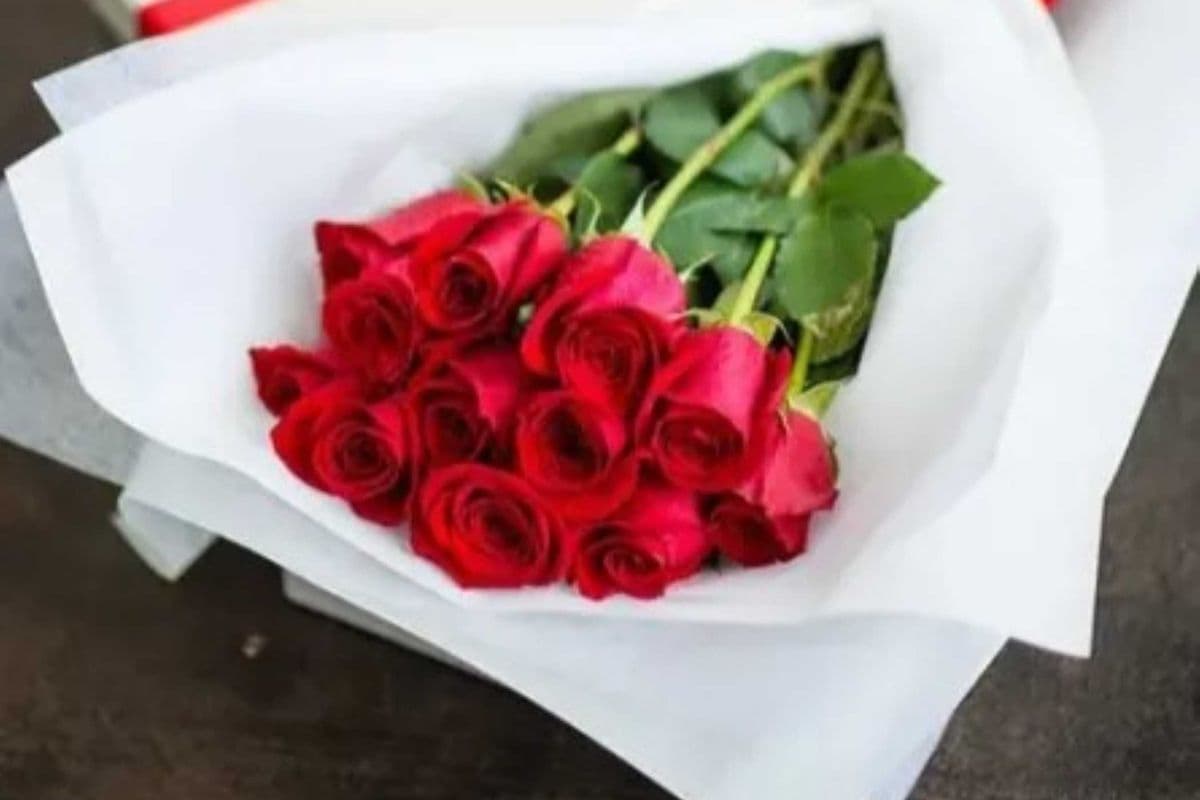 12 Long Stem Red Roses Boxed