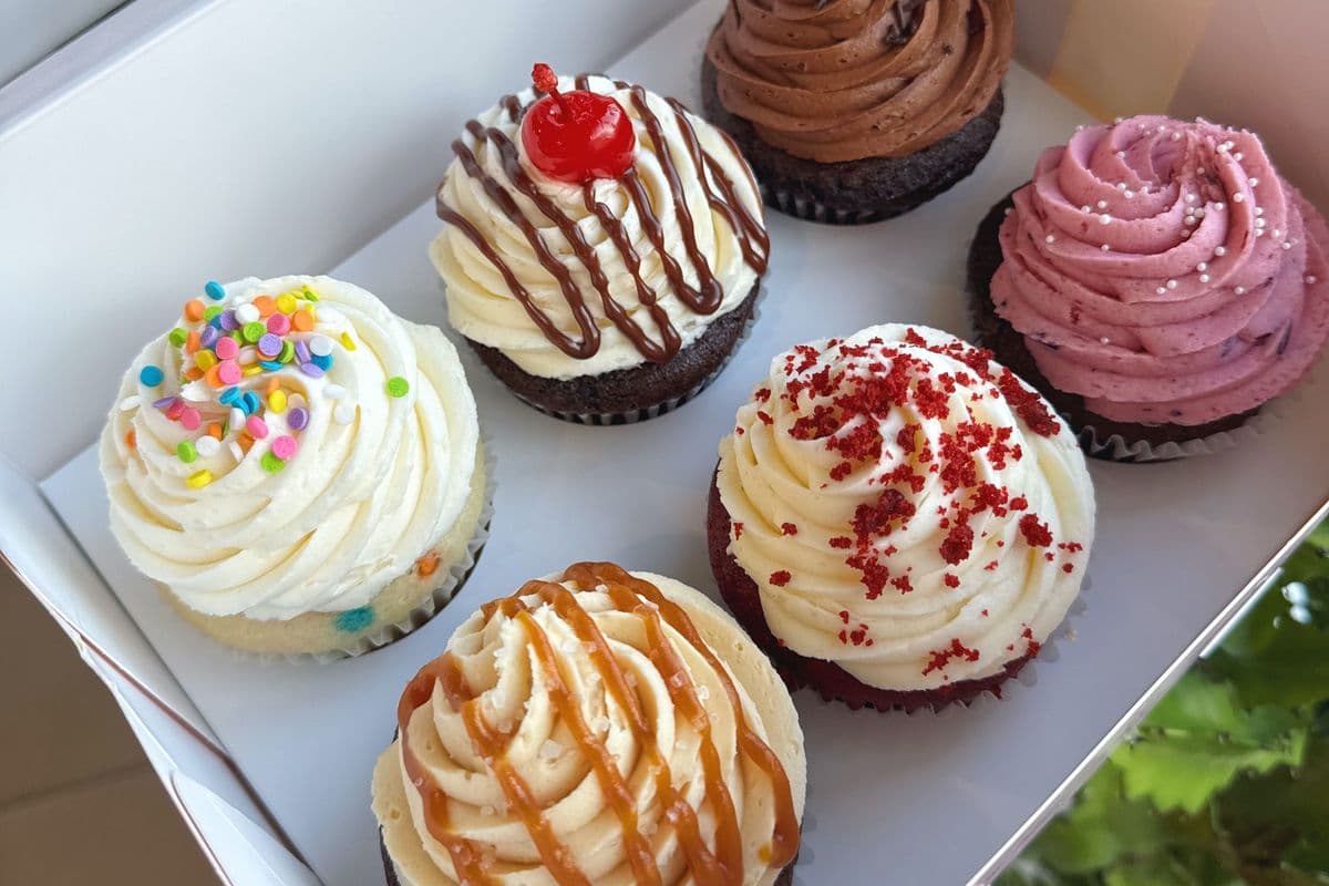 Classic Assorted Cupcakes (6 Pcs)