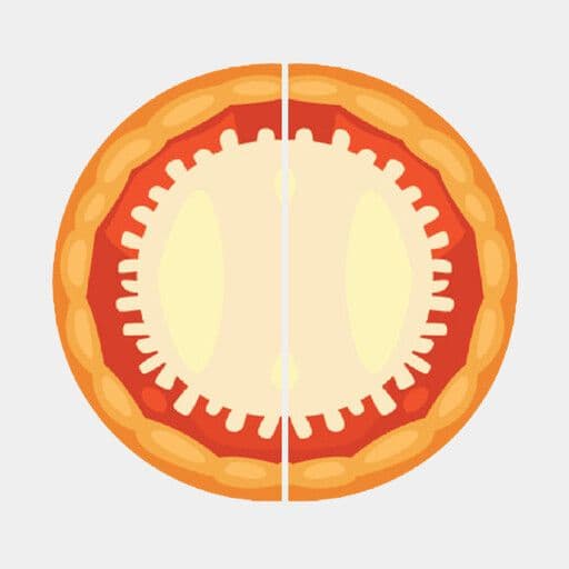 2x Large Half & Half Pizza Deal 1 Topping (Vegan)