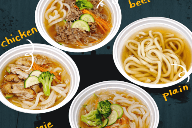 Vege Udon