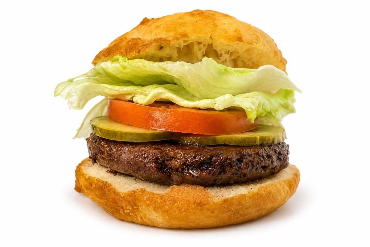 Bannock Elk Burger