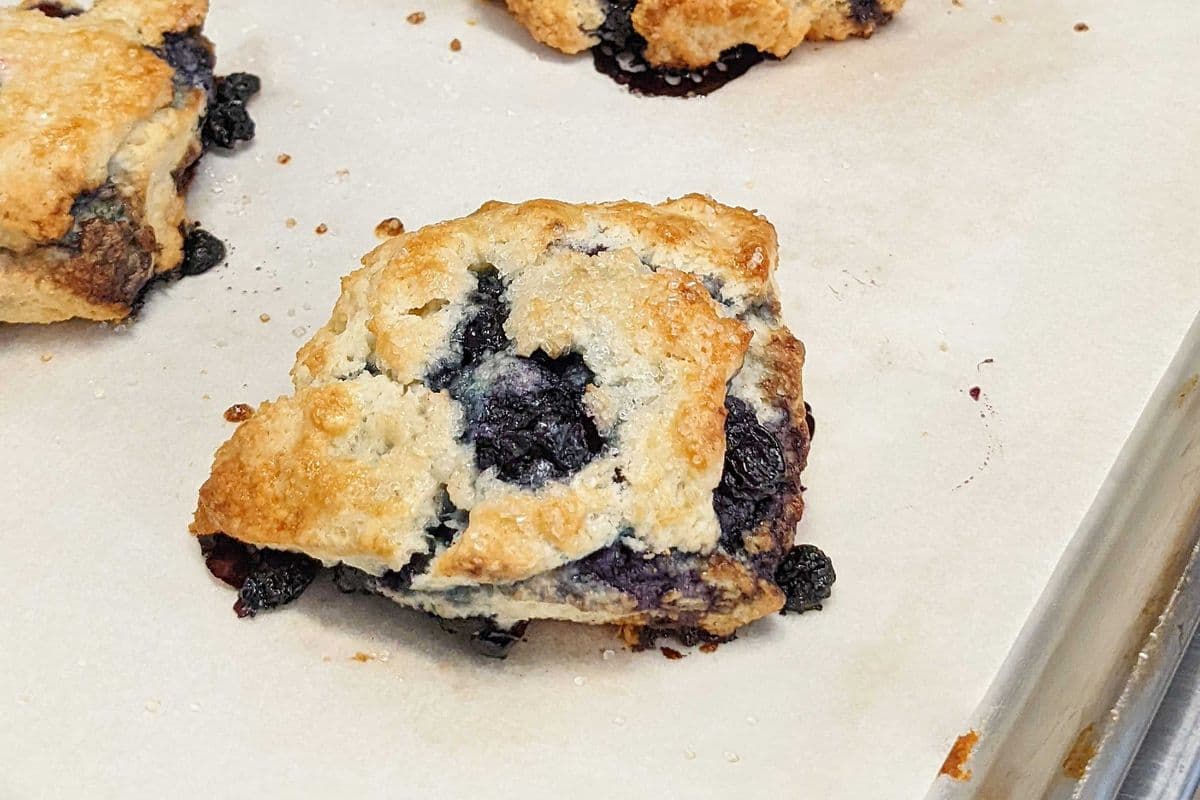 Blueberry Scones