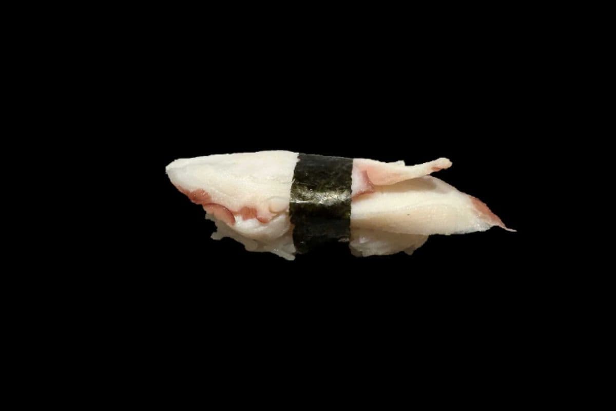 Tako Nigiri (1 Pc)