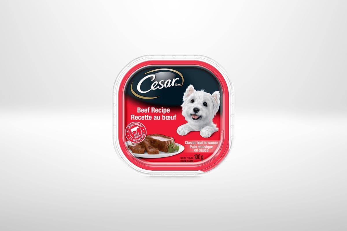 Cesar Dog Food - Beef (100 g)