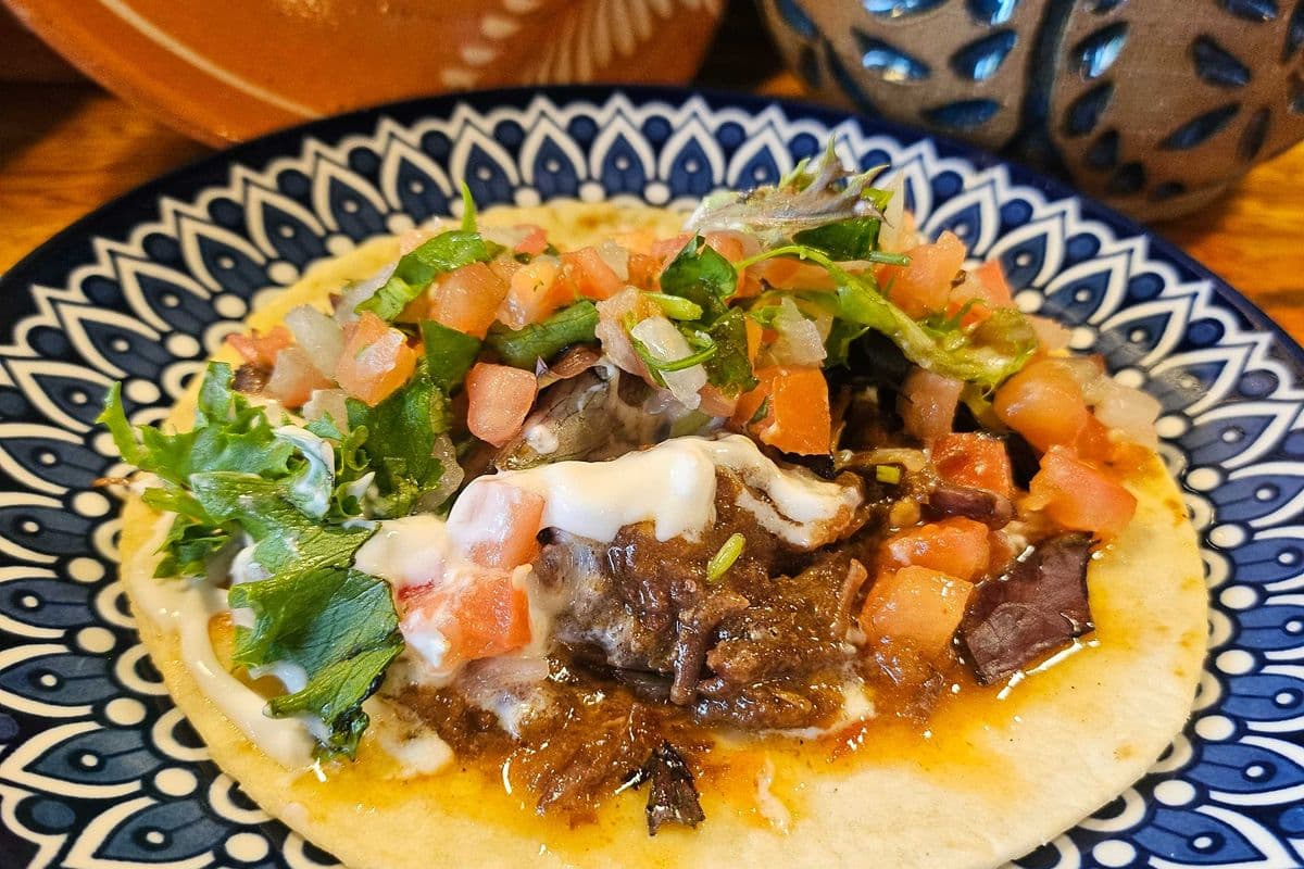Gringo Shredded Beef Taco