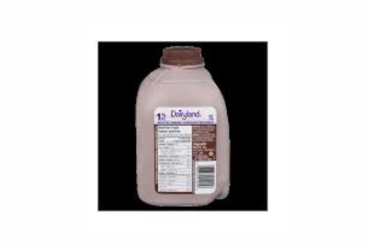 Dairyland Chocolate Jug (1 L)