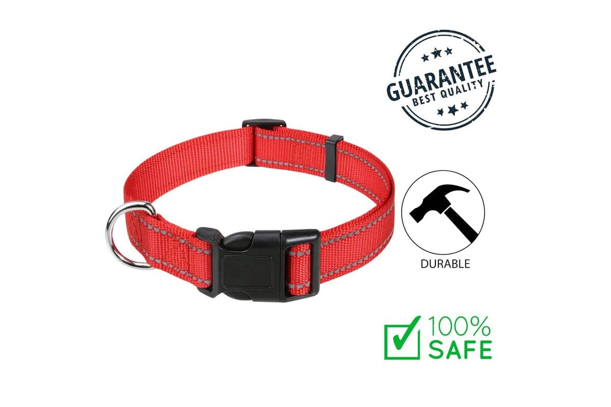 Ashario Pets - Reflective Adjustable Nylon Dog Collar Extra - Small - Red