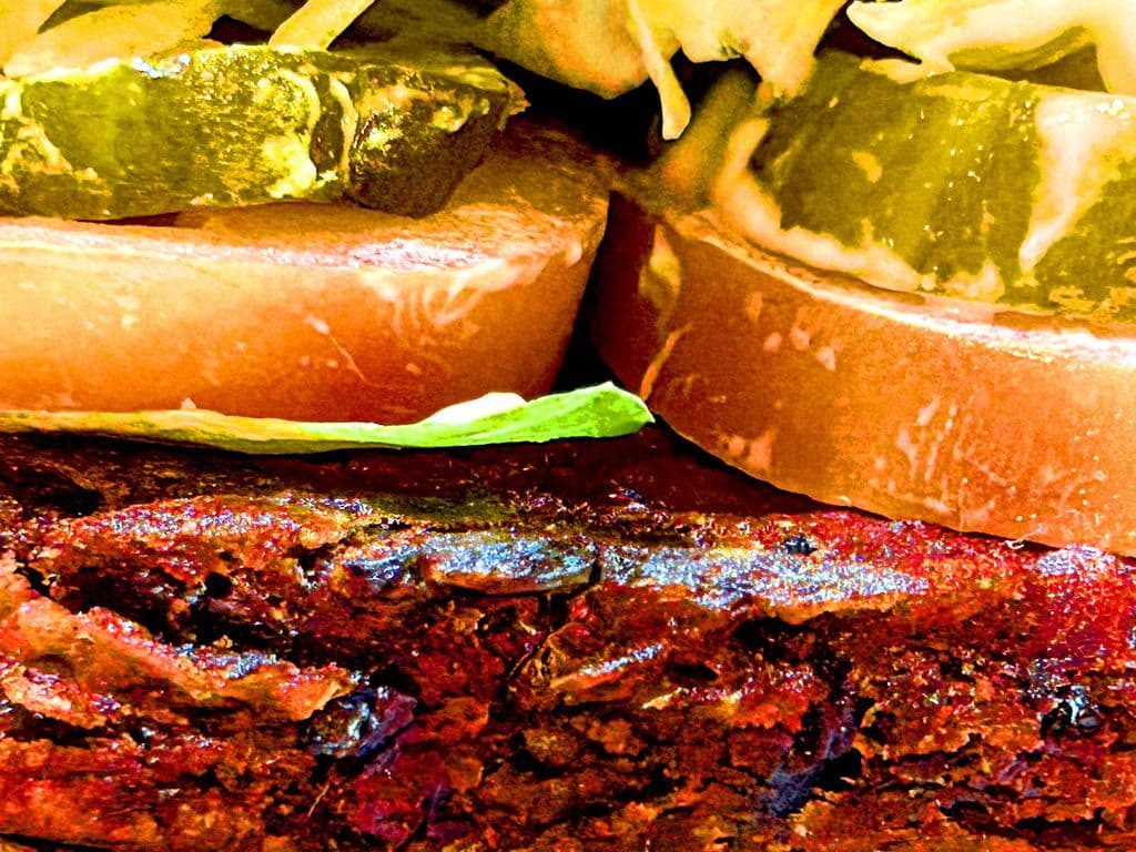 Black Bean Veggie Burger