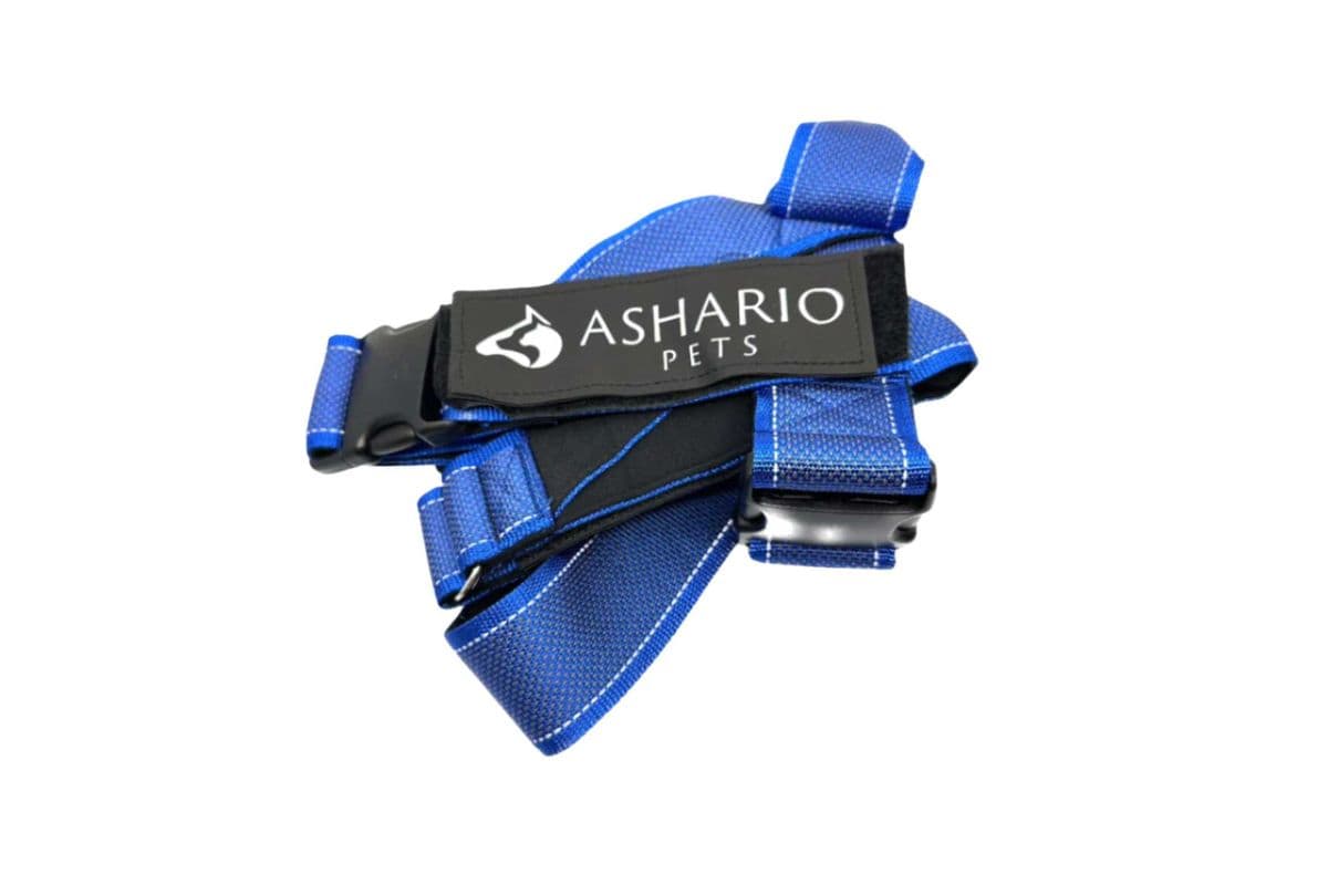 Ashario Pets - "BreezyVest" Summer Lightweight Reflective Harness - Blue - M (M)