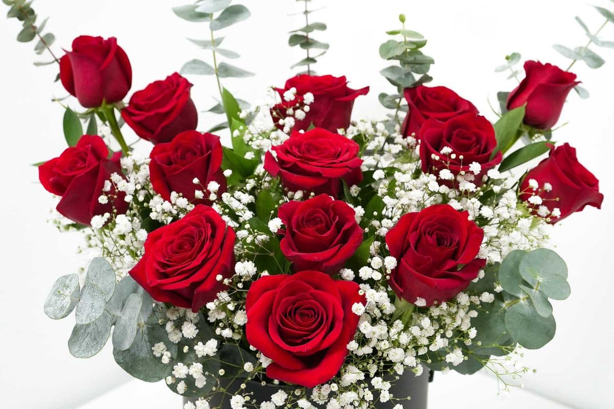 Red Rose Round Box