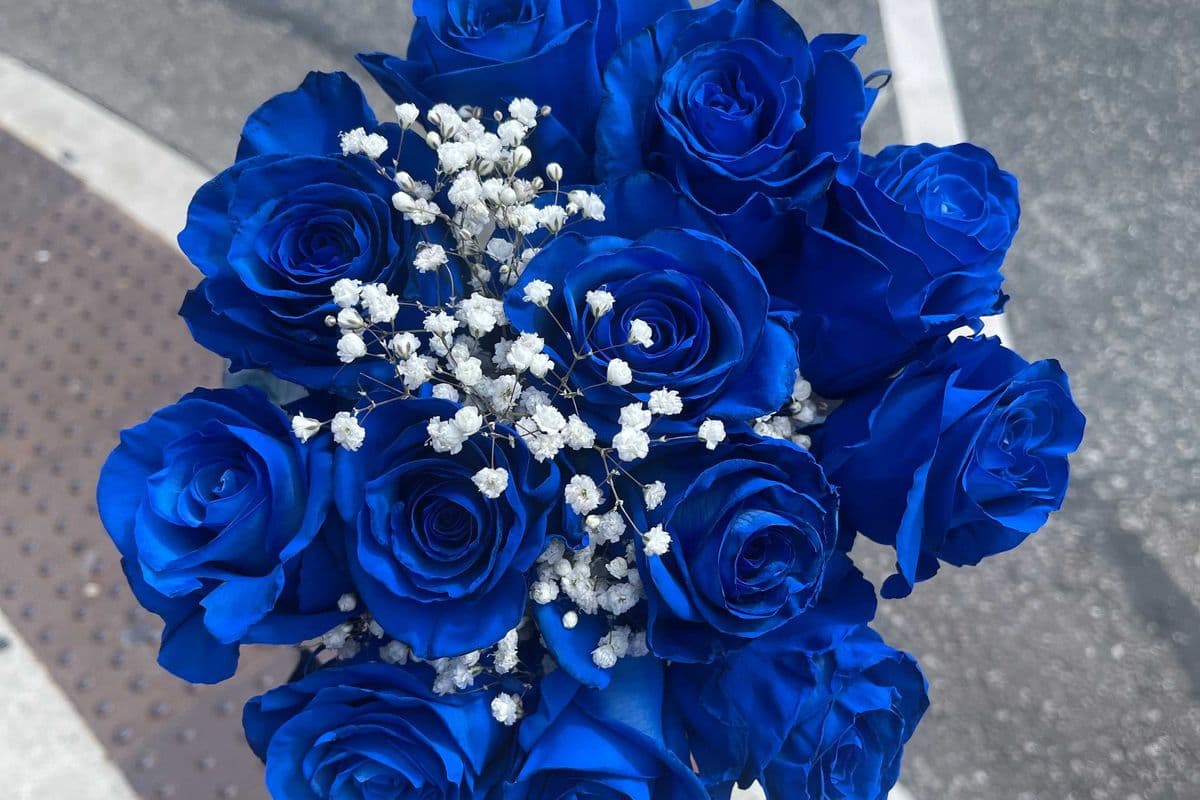Blue Roses - 1 Dozen (12 Stems)
