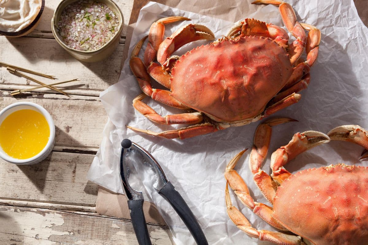 Dungeness Crab (1.75 lb) Seasonal