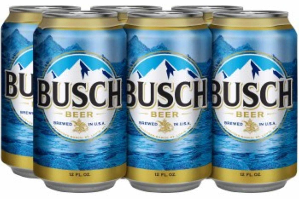 Busch (8 x 355 ml Can)