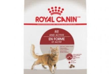 Royal Canin Intérieur Adulte Chat / Royal Canin Indoor Adult Cat (7 lbs)