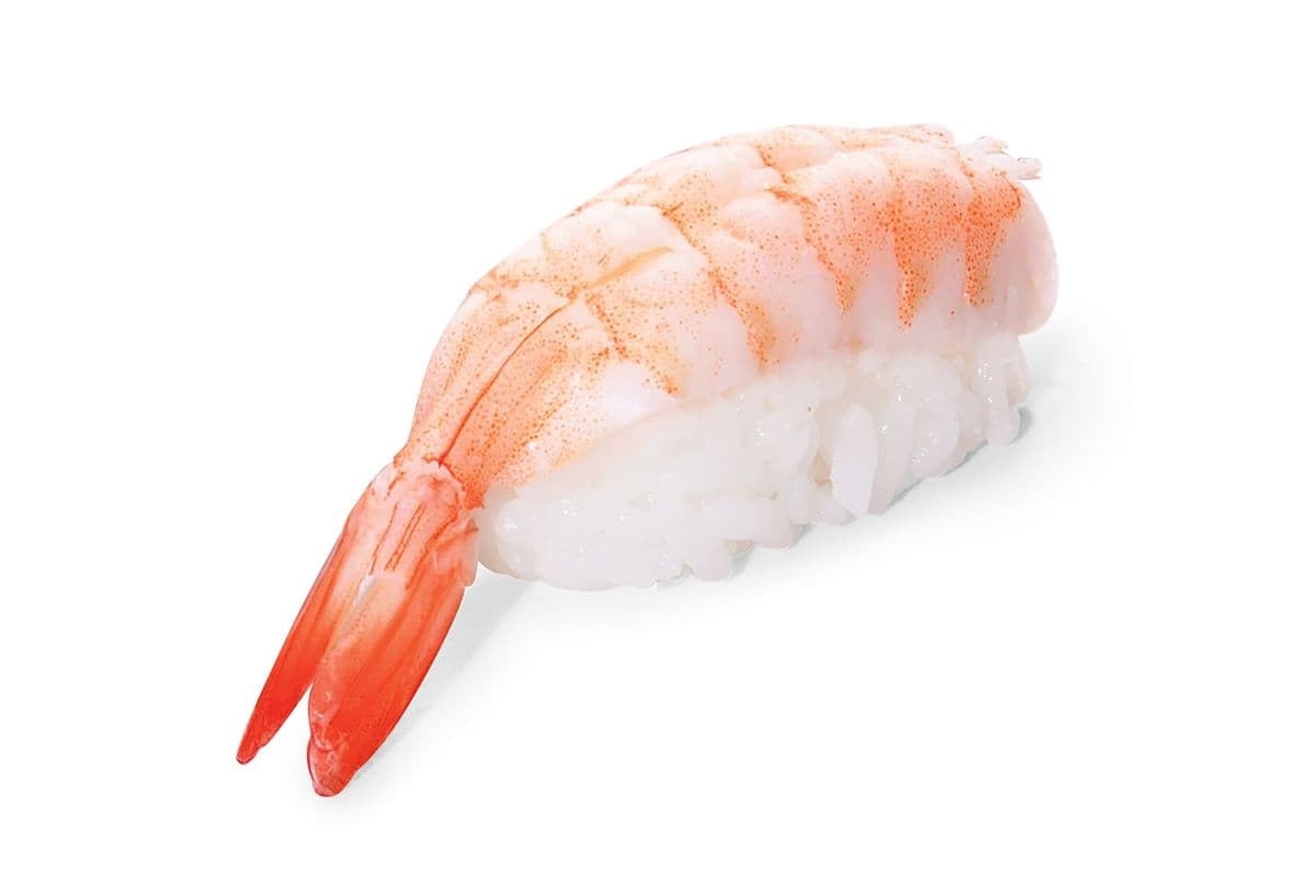 Nigiri Crevette / Shrimp Nigiri