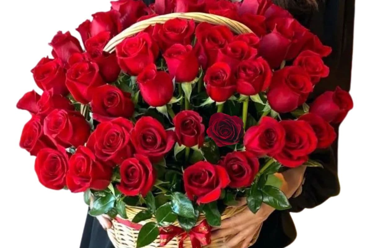 Fresh Cut Premium Rose Basket – Roses last 10 days