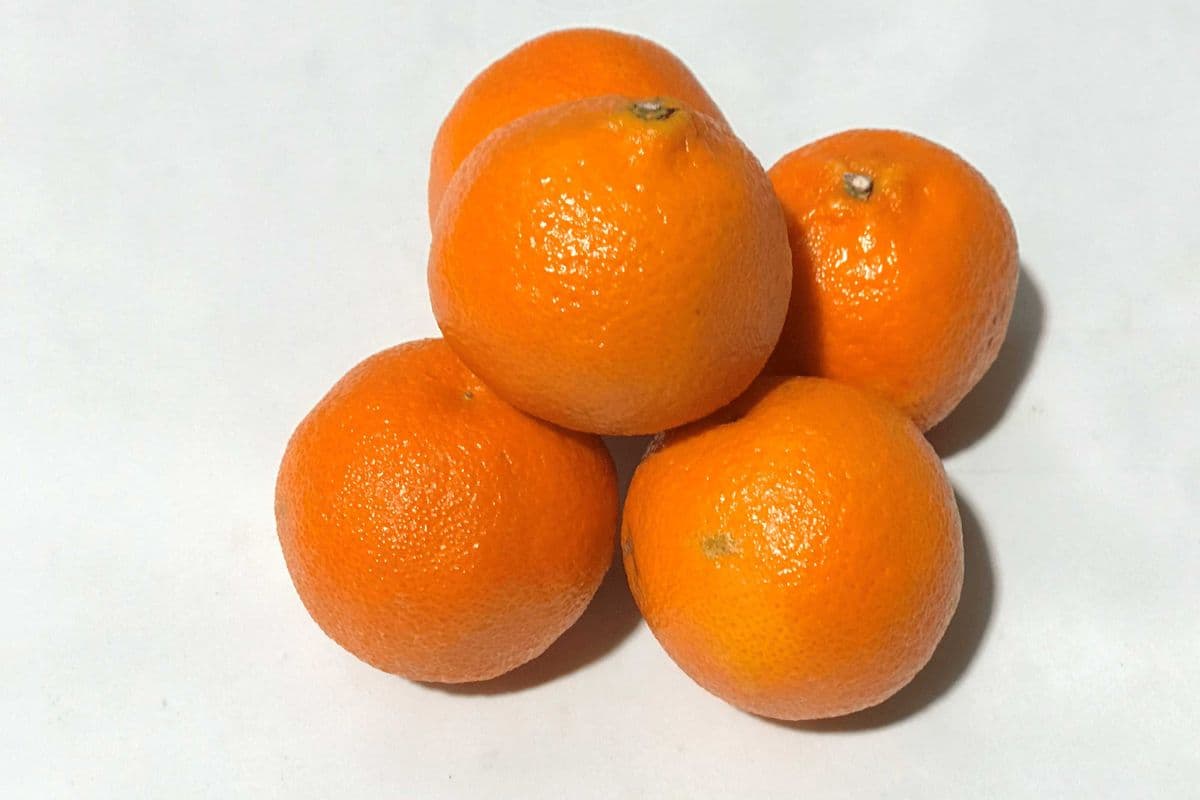 Clementines (bag of 5 counts)
