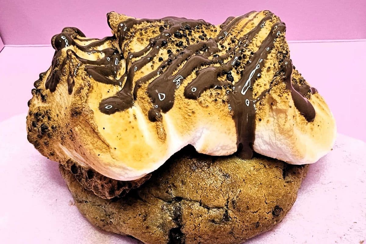 ✨GIANT S’mores Explosion 🍪🔥🍯