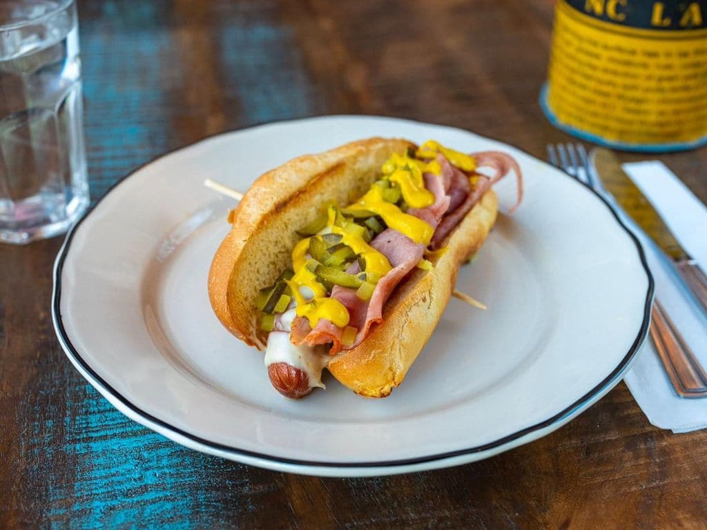 HAVANA DOG
