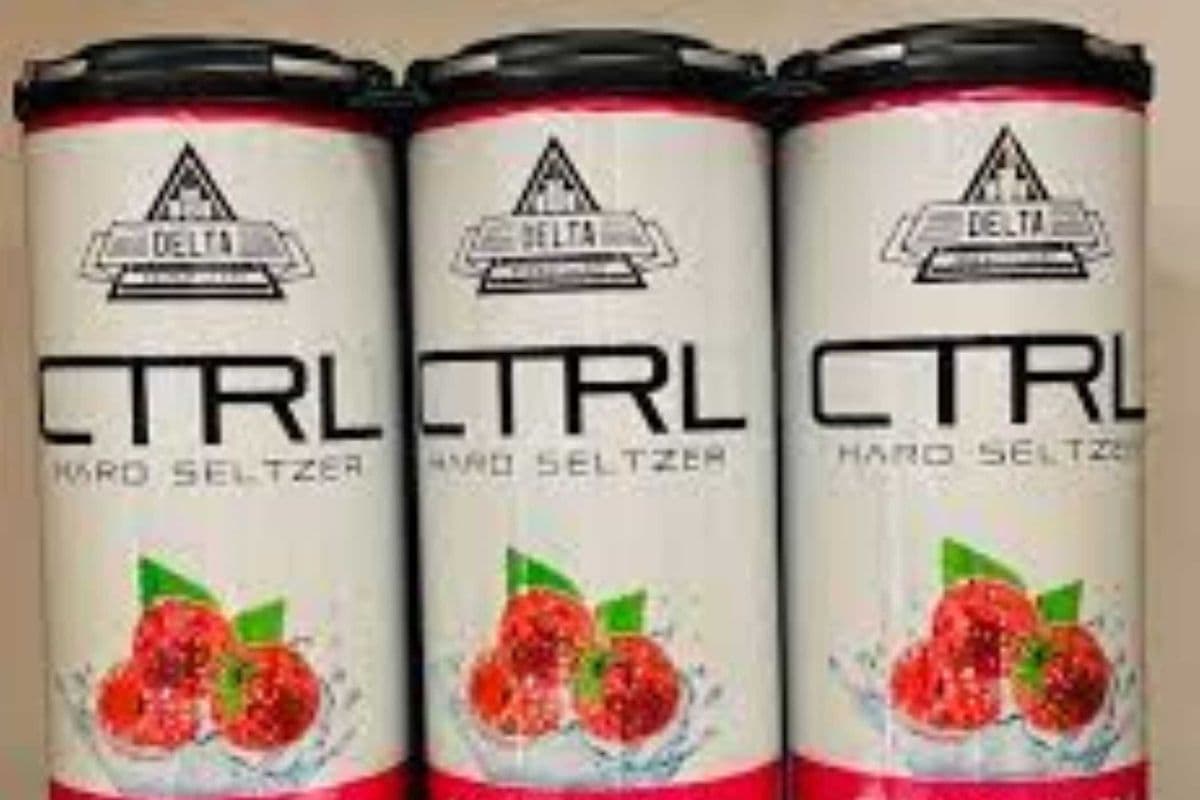 DELTA CTRL RASPBERRY 6 PACK (1 x 6X355ML)