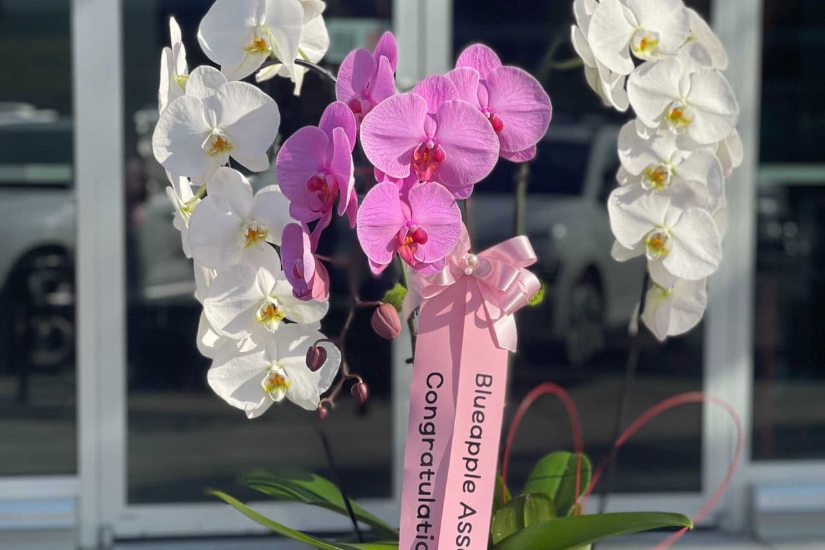 3 Stem Purple Orchid Arrangement