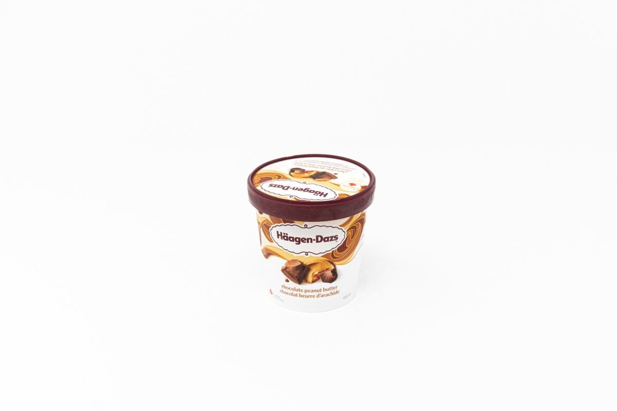 Haagen-Dazs Chocolate Peanut Butter (450 ml)