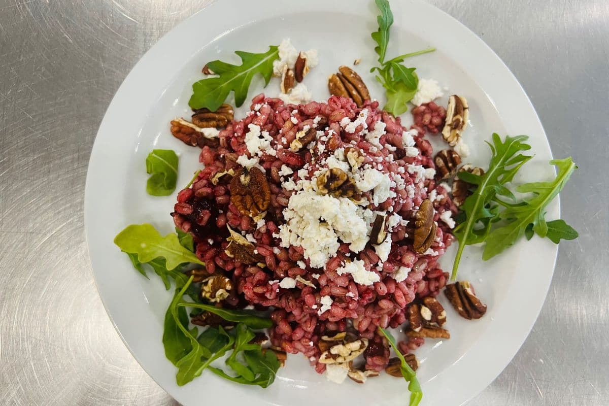BARLEY & CRANBERRY SALAD (22 oz)