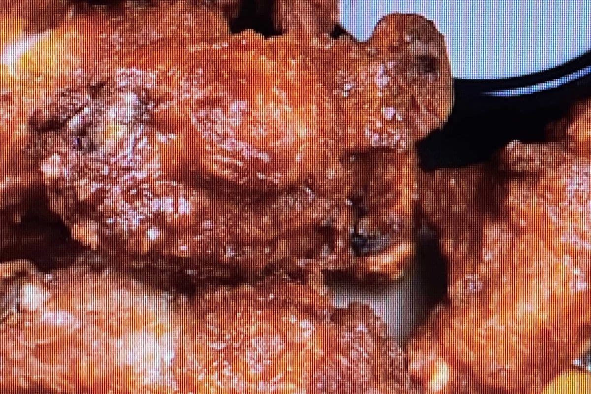 Double Wings (18 Pcs)