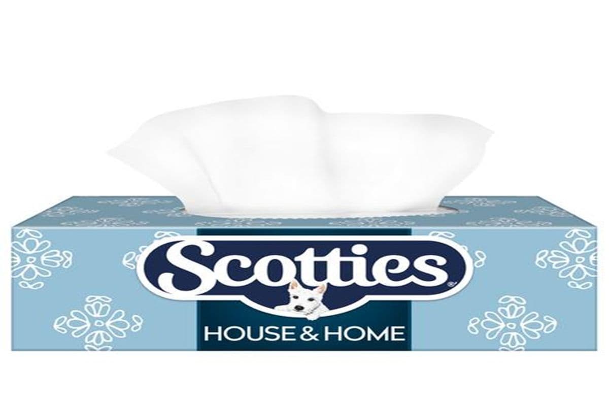 Scotties Original Facial Tissues Two-Ply One Box x 126 Sheets