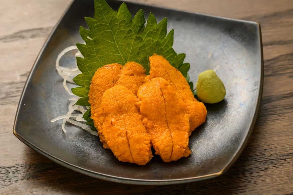 Uni sashimi