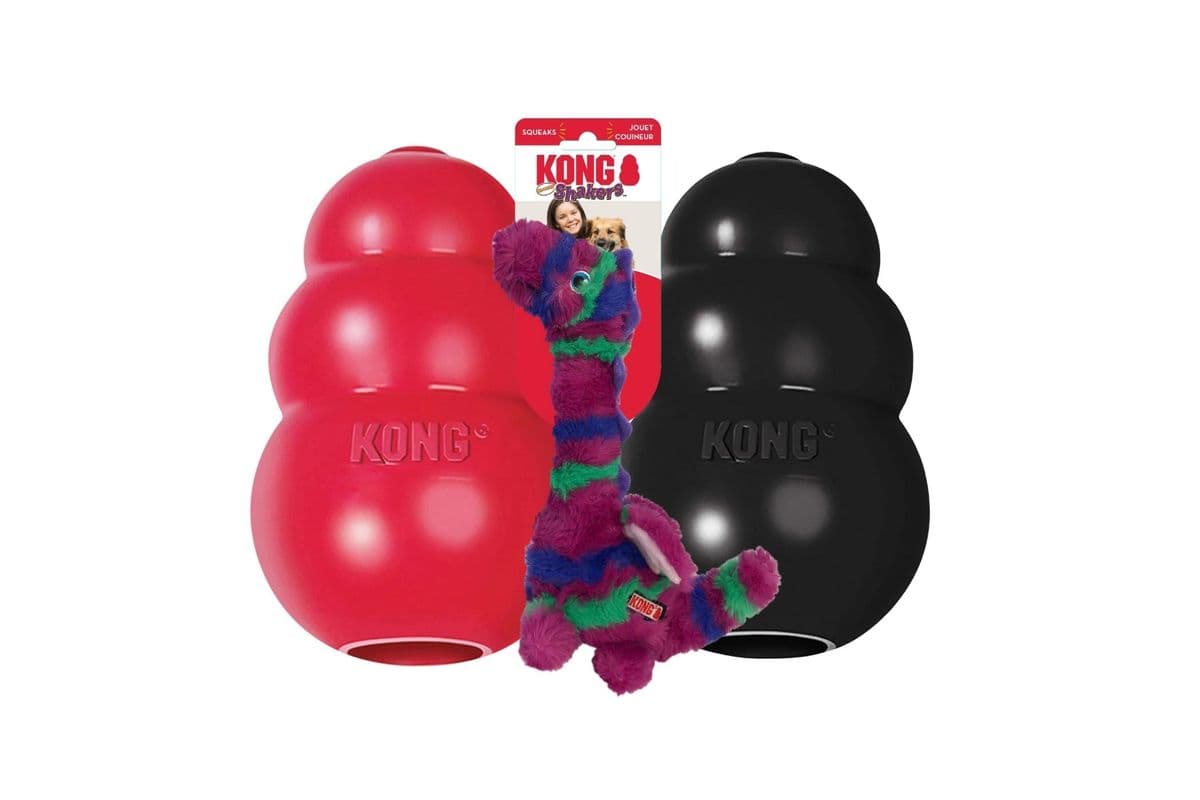 Kong Dog Toys