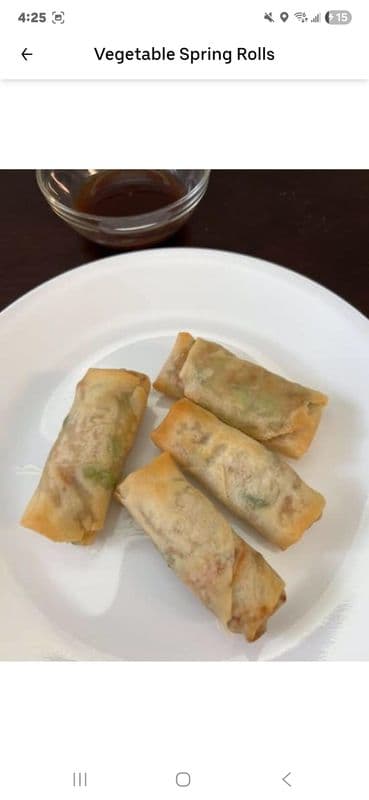 5 Vegetable Spring Rolls
