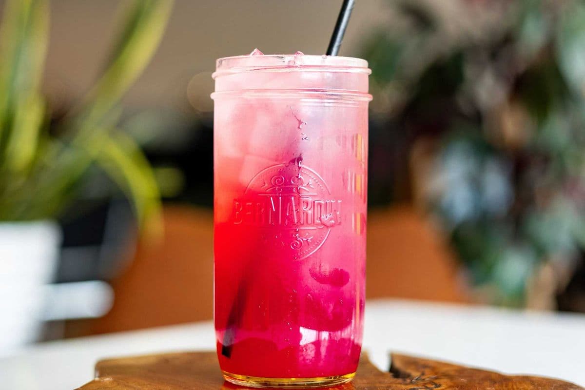 Hibiscus Palmer