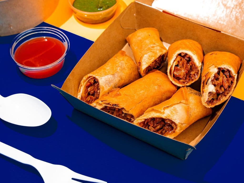 Noodle Spring Rolls (veg)