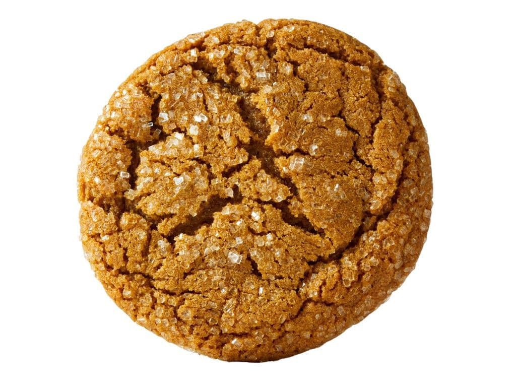 Ginger Bread Cookie Giant