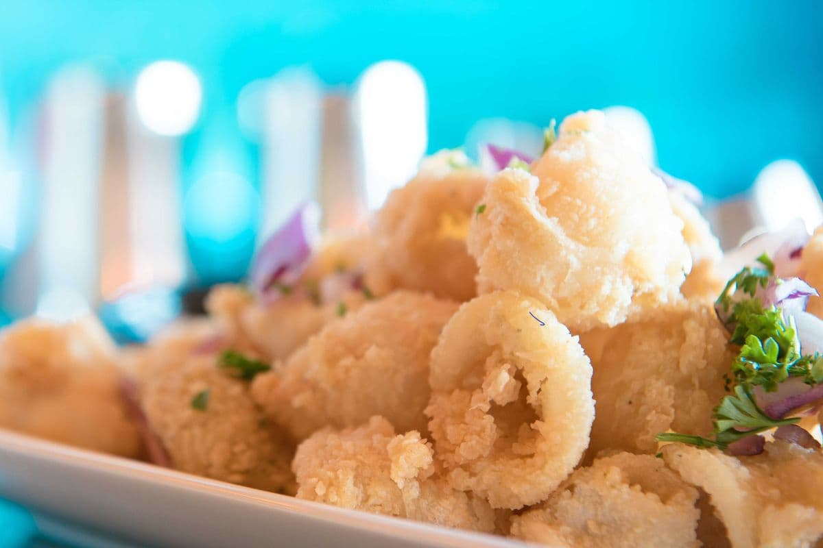 Calamari