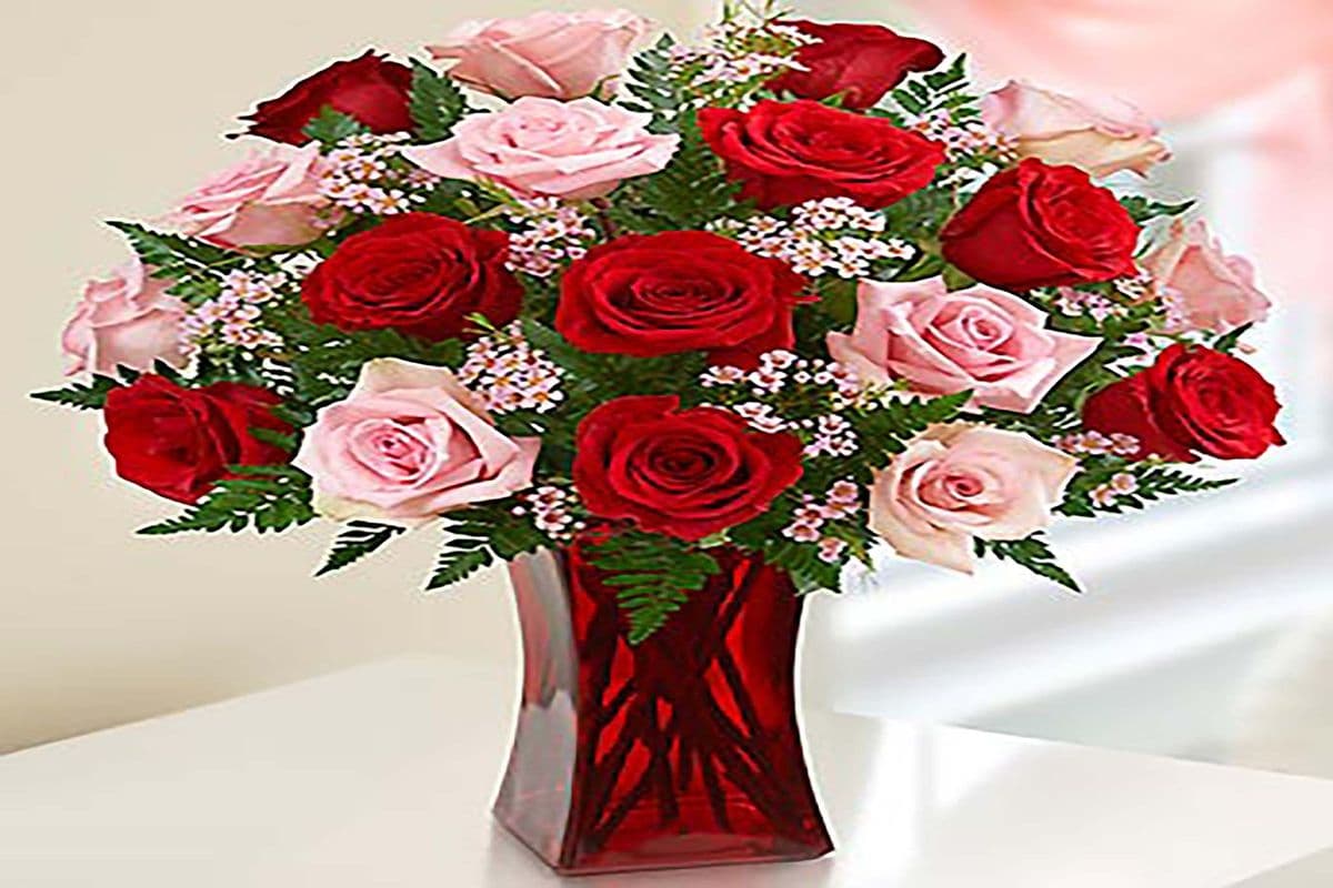 Ultimate Elegance - 18 Stems of Pink and Red Roses