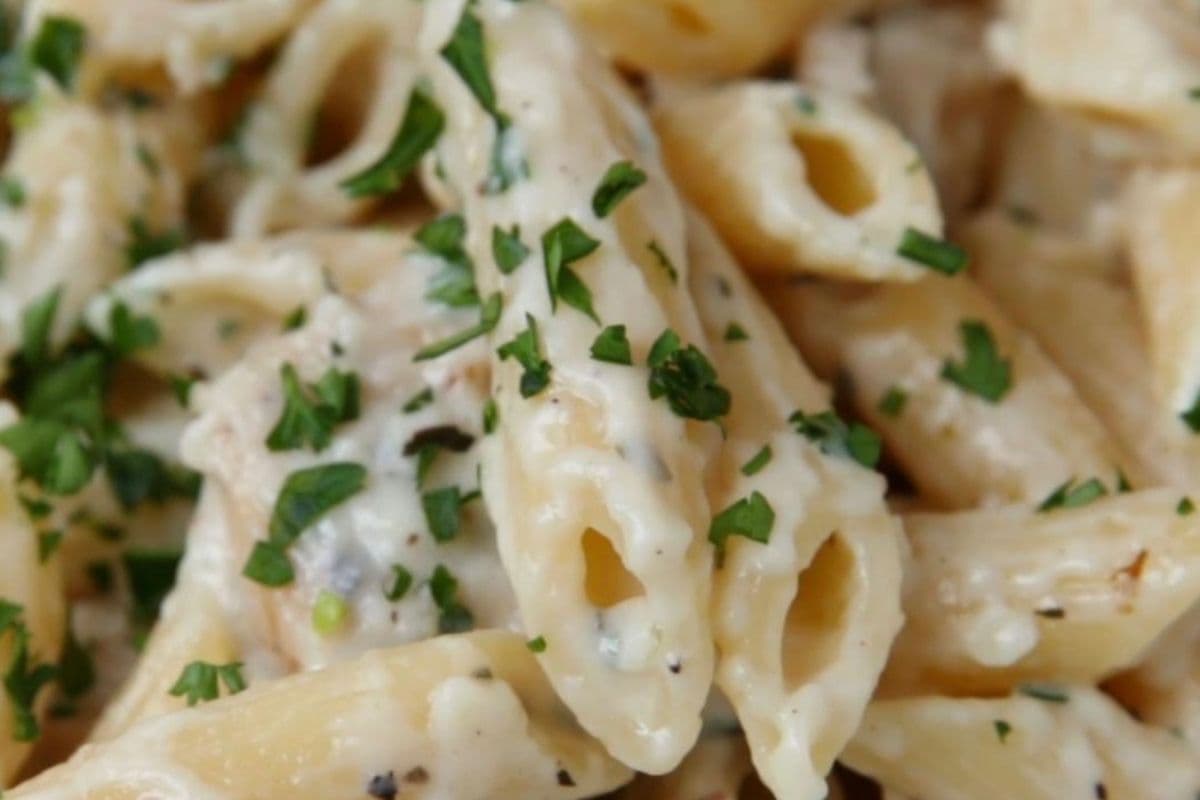 Penne Alfredo