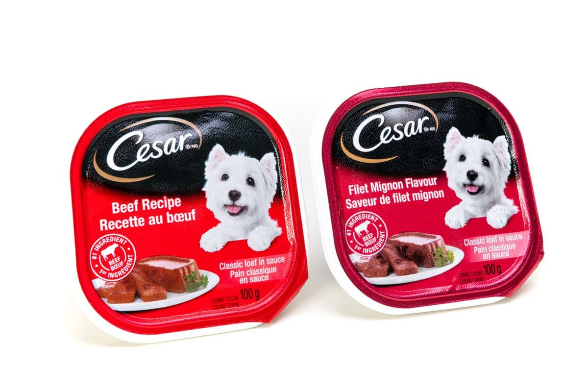 Cesar Dog Food (100 g)
