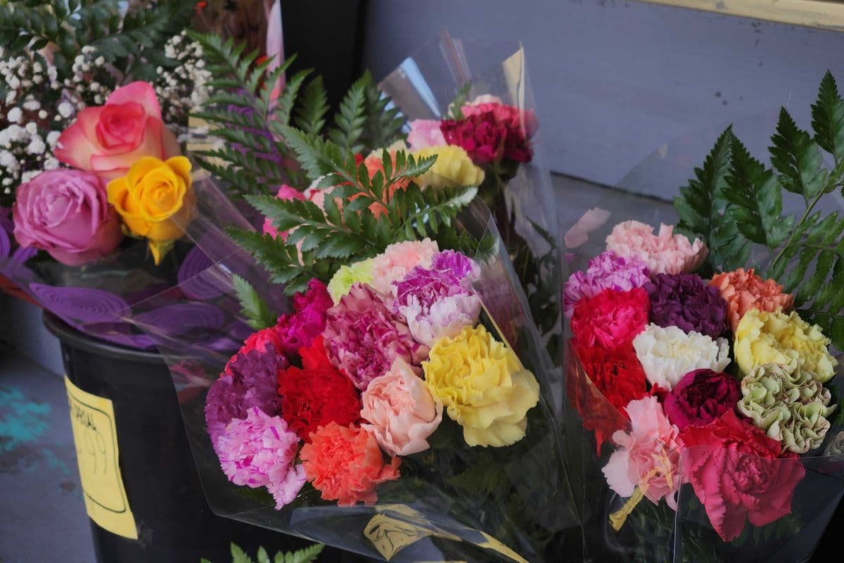 Dozen Carnations
