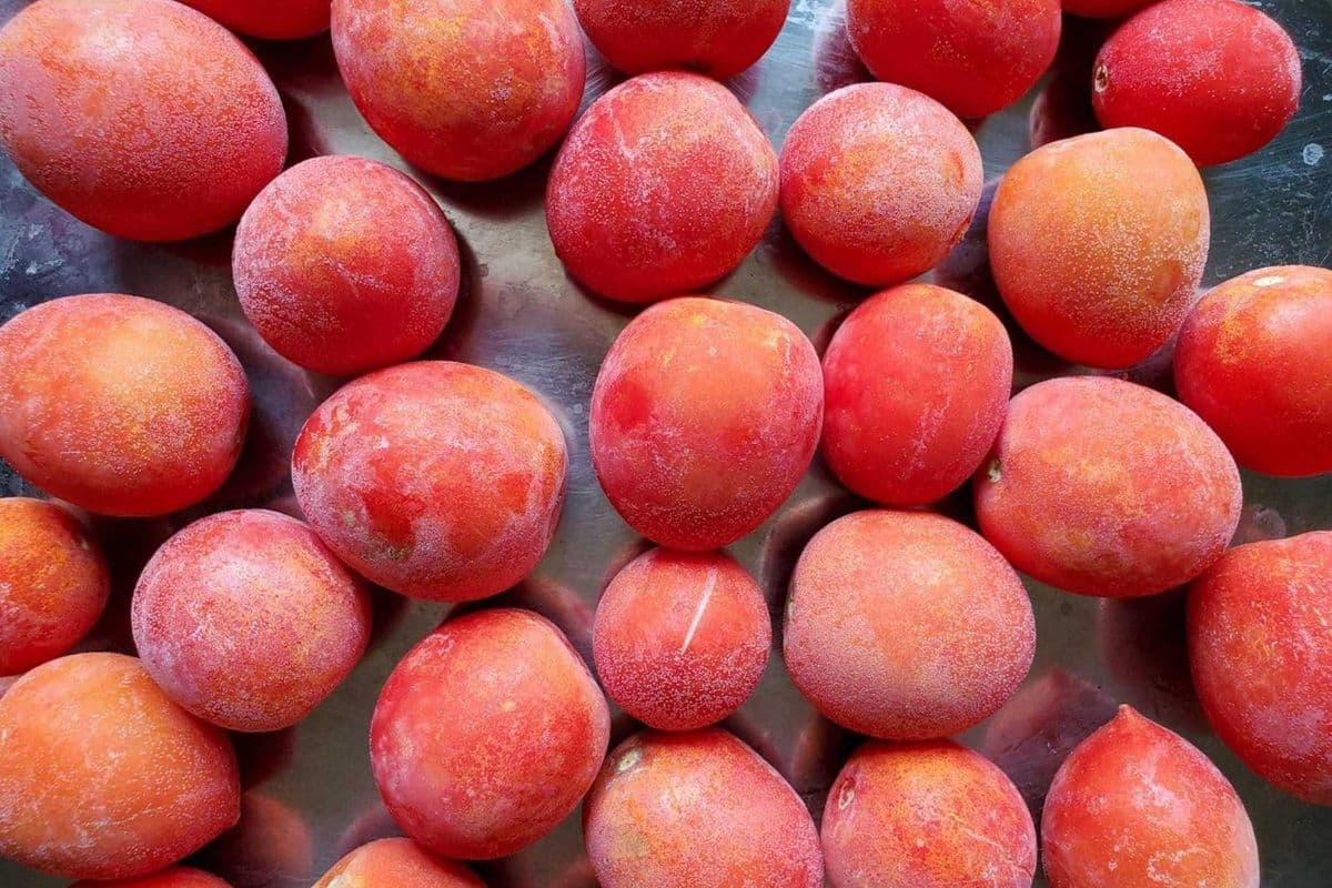 Frozen Vine Stew Tomatoes – Individual