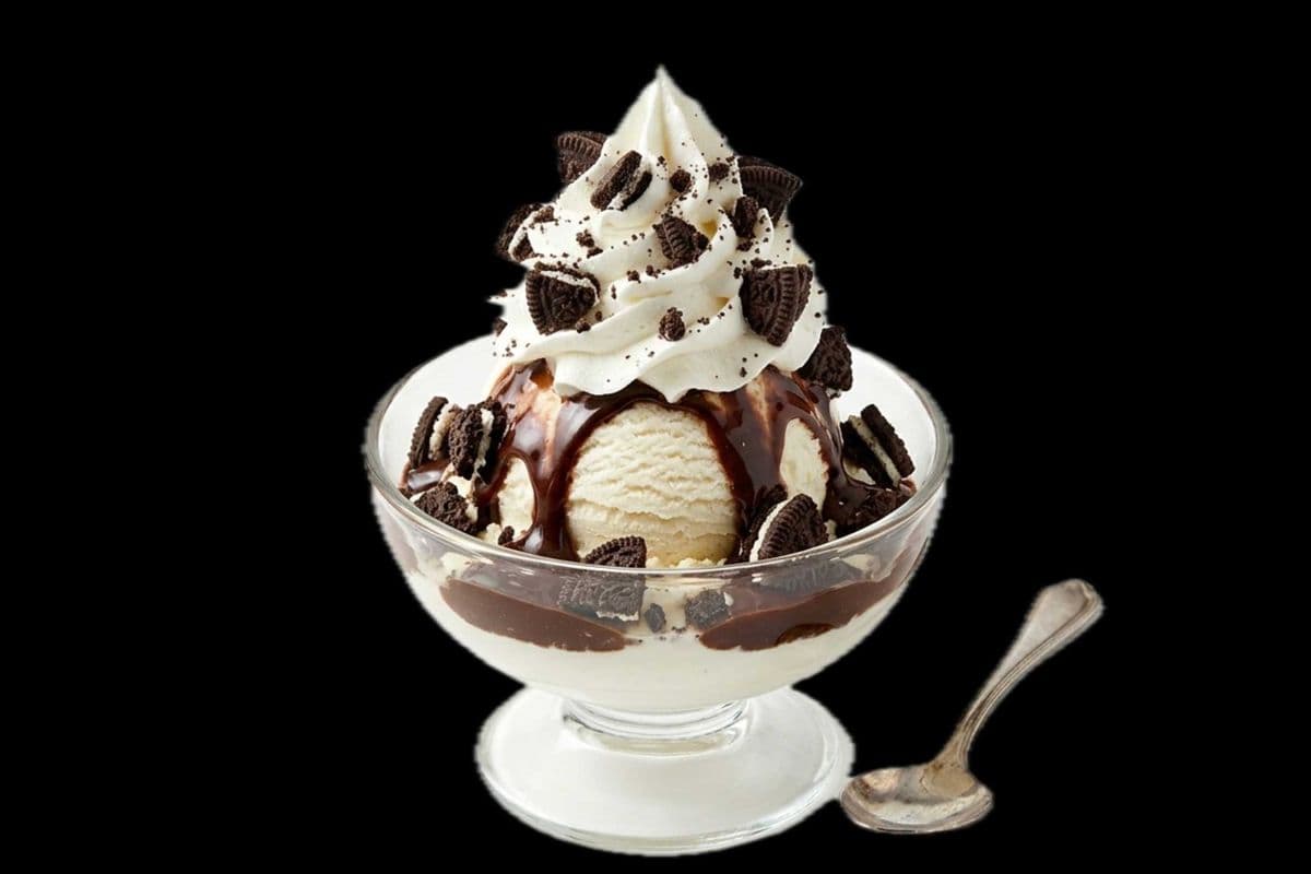 SINGLE SCOOP SUNDAE