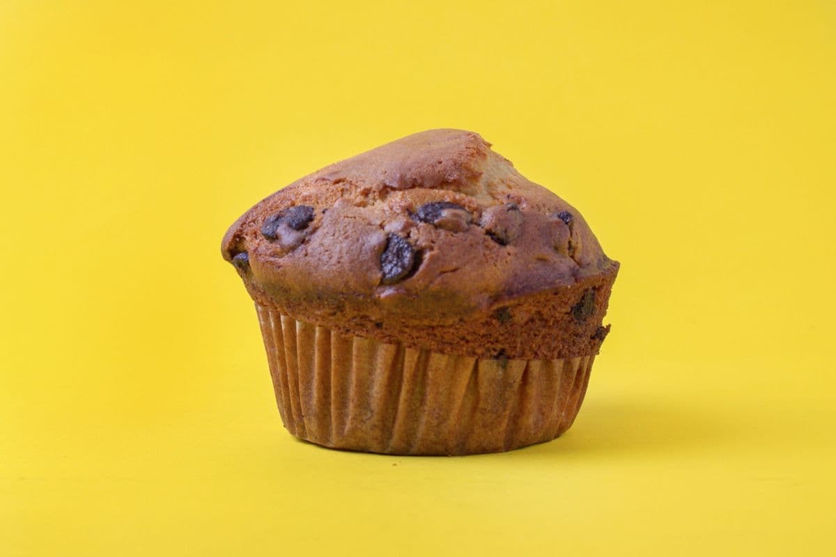Chocolate Chip Muffin