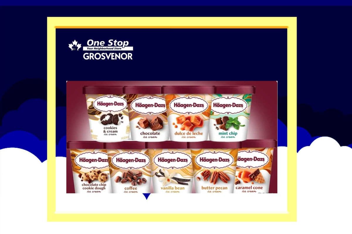 HAAGEN DAZS TUBS (450 ml)