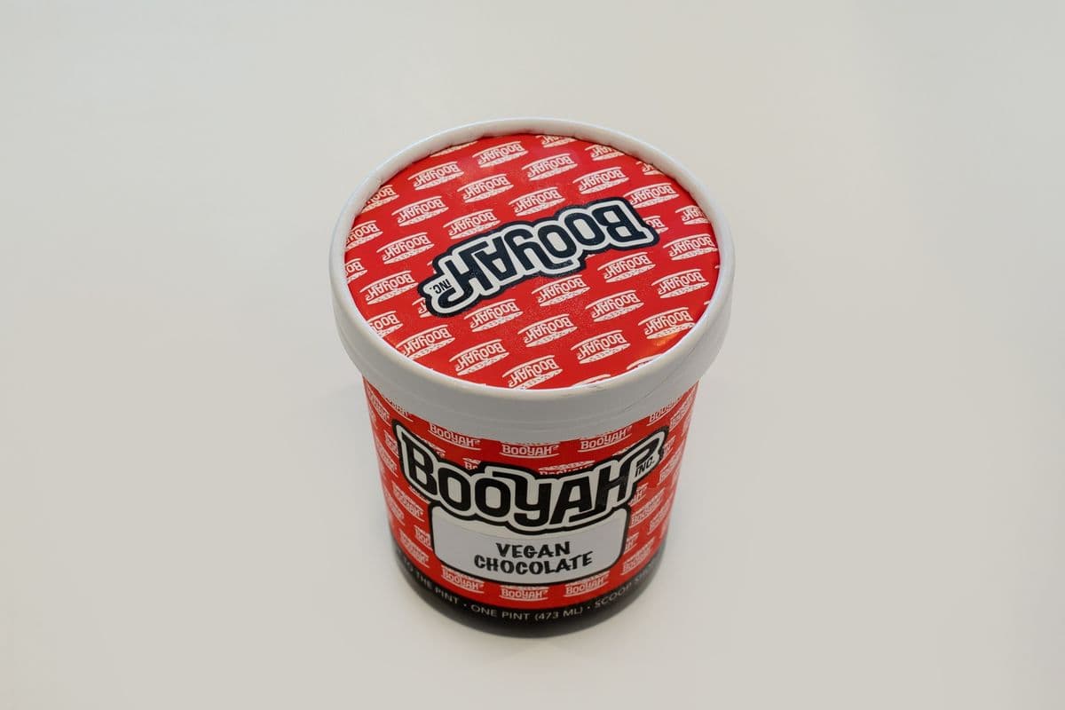 Vegan Chocolate Ice Cream