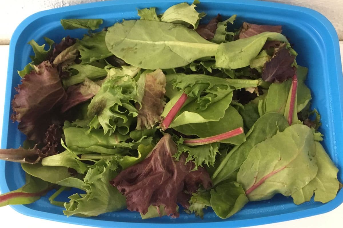 Spring Mix, Pre-Washed (Organic) (1.12 L)